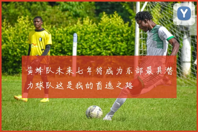 黄蜂队未来七年将成为东部最具潜力球队这是我的首选之路