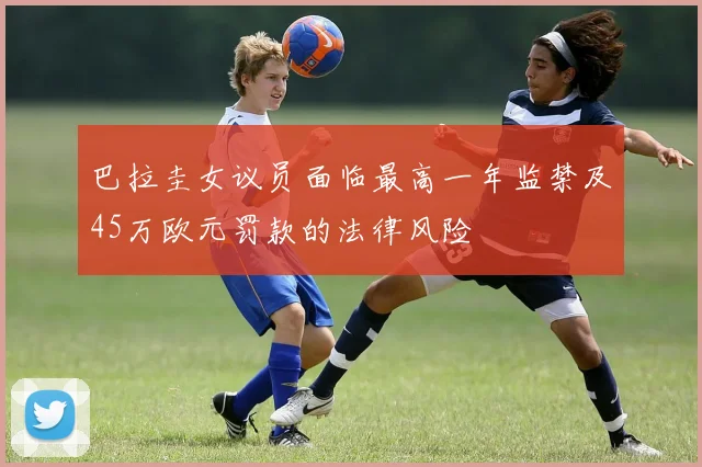 巴拉圭女议员面临最高一年监禁及45万欧元罚款的法律风险