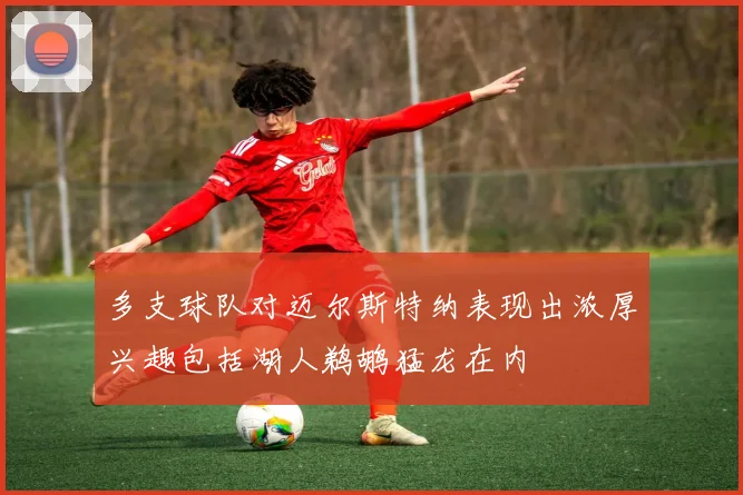 多支球队对迈尔斯特纳表现出浓厚兴趣包括湖人鹈鹕猛龙在内