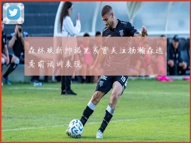 森林狼新帅诺里或曾关注杨瀚森选秀前试训表现